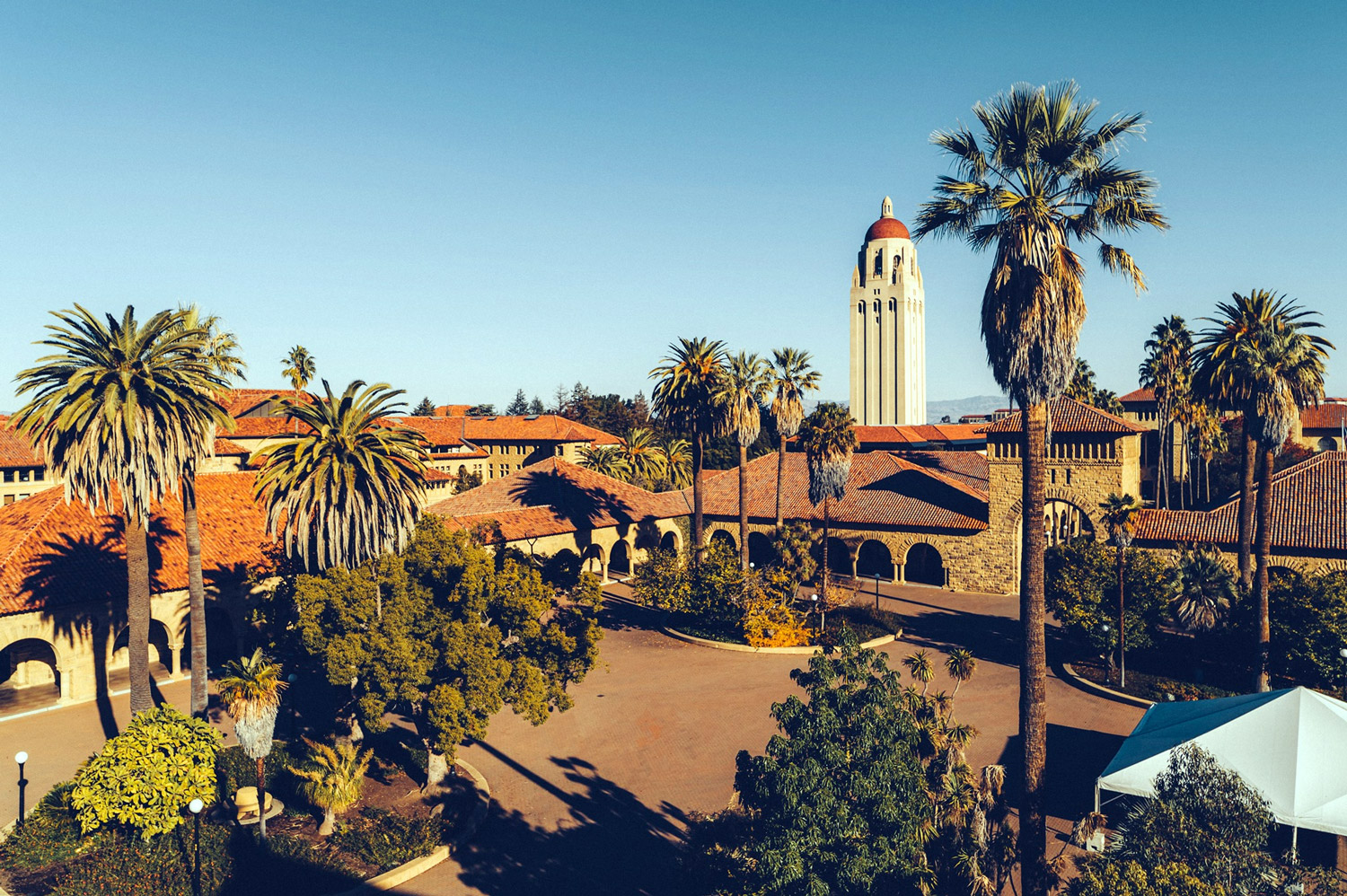 Stanford University Alumni Mixer